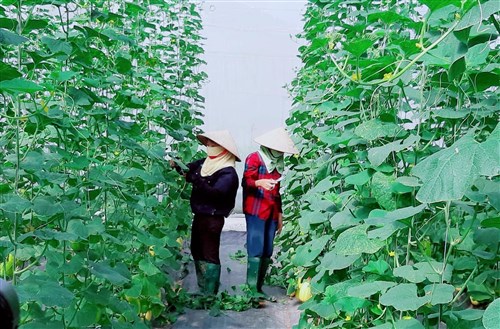 Tác động của Chương trình nông thôn miền núi đến phát triển kinh tế - xã hội tỉnh Bắc Giang