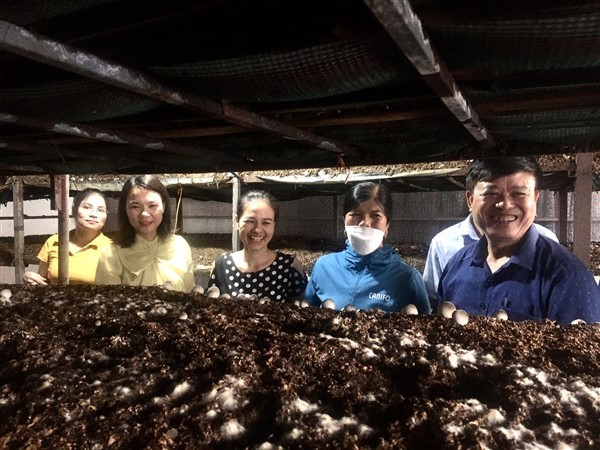 Giới thiệu, phổ biến kỹ thuật nuôi trồng nấm ăn, nấm dược liệu tại Lạng Giang