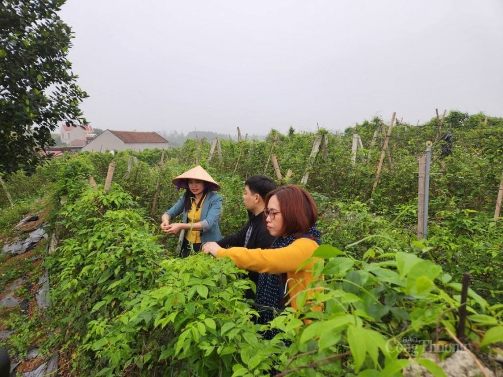 Bắc Giang: Sở hữu trí tuệ thúc đẩy mở cửa thị trường cho nông sản chủ lực