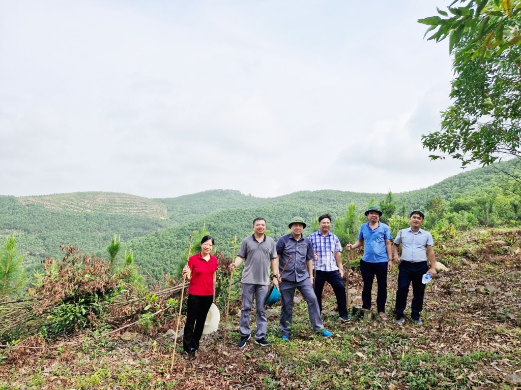 Kiểm tra trước nghiệm thu mô hình trồng rừng gỗ lớn thông Caribe|https://skhcn.bacgiang.gov.vn/chi-tiet-tin-tuc/-/asset_publisher/4roH7oNwBEIm/content/kiem-tra-truoc-nghiem-thu-mo-hinh-trong-rung-go-lon-thong-caribe