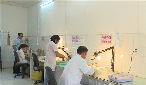 Công trình chọn tạo giống lúa P15 lọt vào Sách vàng sáng tạo Việt Nam năm 2020