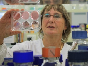 Australia sản xuất thuốc chống cúm mới hiệu quả cao