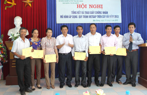 Bắc Giang: Trao giấy chứng nhận cho 17 cơ sở sản xuất vải thiều VietGAP